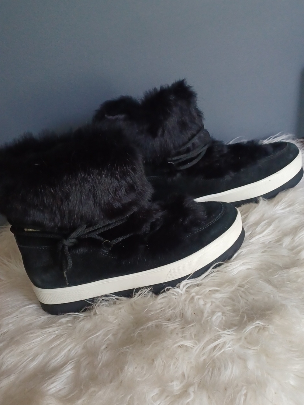 Cougar Booties